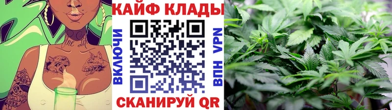 Псилоцибиновые грибы Ставрополь