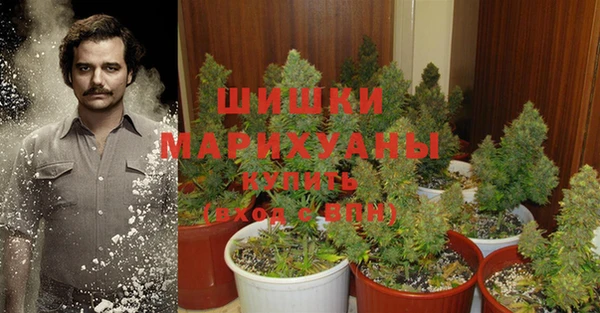 бошки Волоколамск