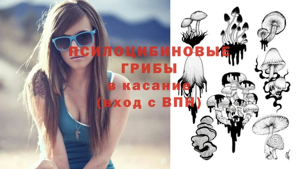 бошки Волоколамск
