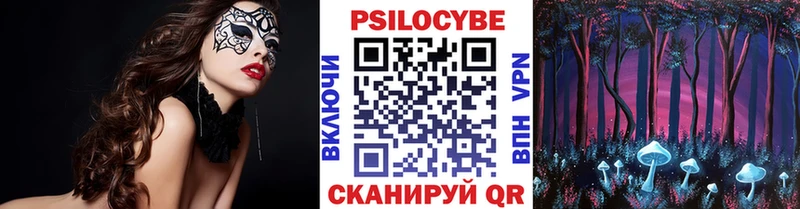Псилоцибиновые грибы Magic Shrooms  как найти закладки  Ставрополь 