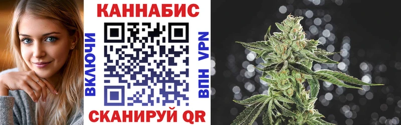 продажа наркотиков  кракен зеркало  Бошки Шишки Bruce Banner  shop телеграм  Ставрополь 